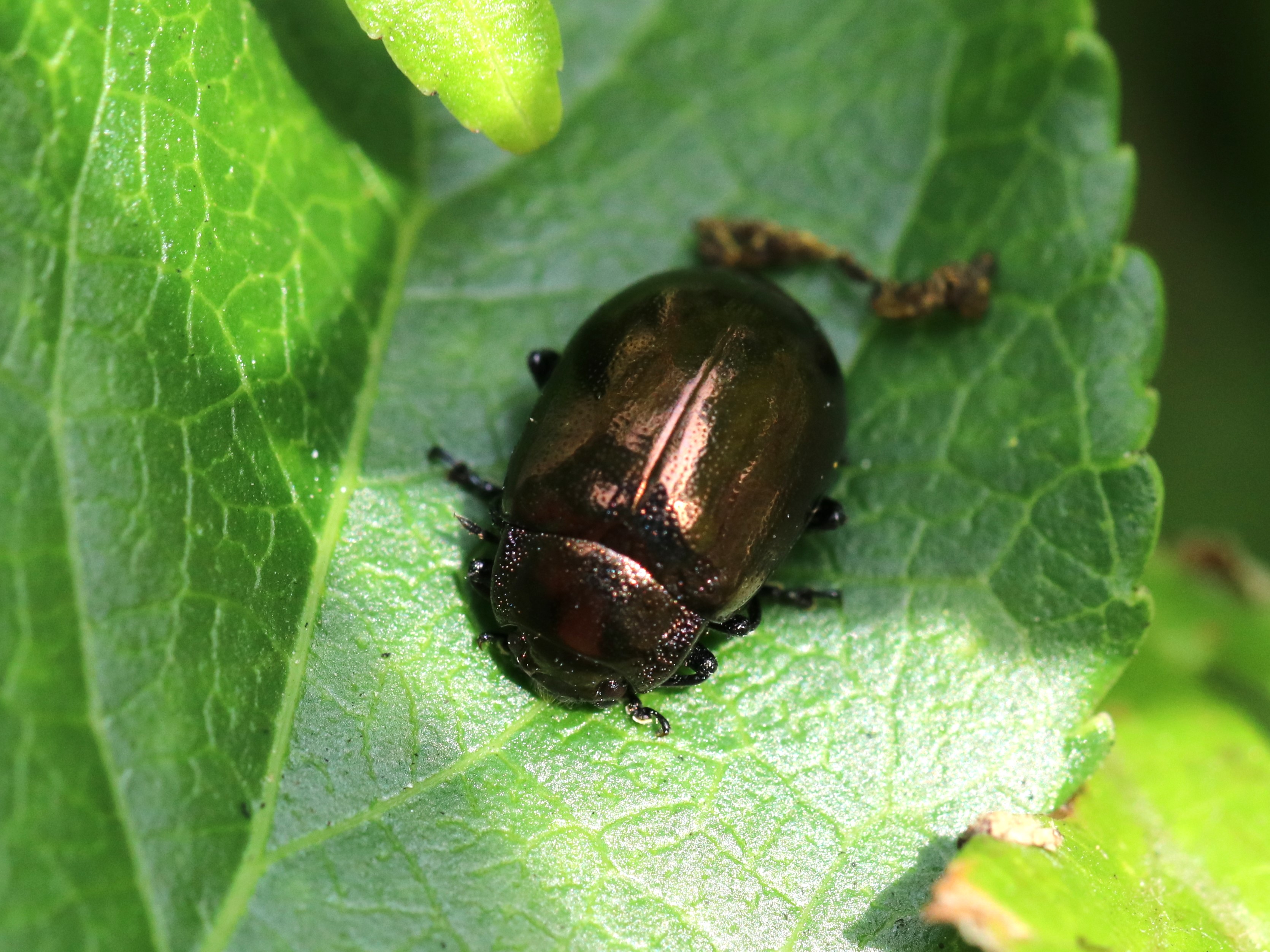 photo_6